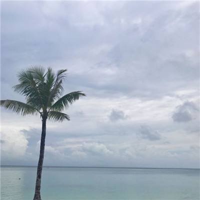 非AI，不清洁：普渡机器人发布AI...